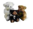 Stuffed Animal